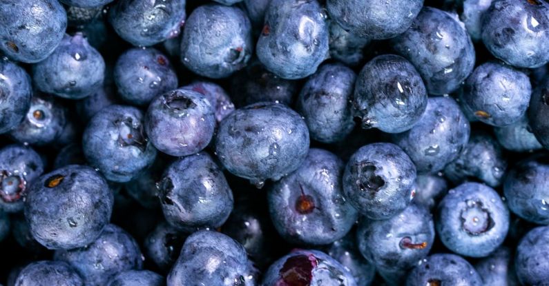 Antioxidants - Close-Up Photo of Blueberries